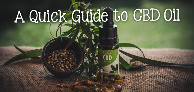 A Quick Guide to CBD Oil for Pain, Anxiety and More!