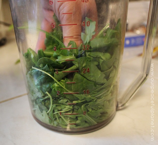 Even if your not a salad eater you will like this arugula, spinach, sun dried tomatoes and capers healthy pasta salad. It's quick to make a very filling!