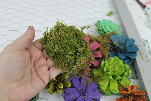 A country chicken wire frame memo board that will brighten up your kitchen with its pretty pinecone succulents. It holds useful items plus photos & quotes!