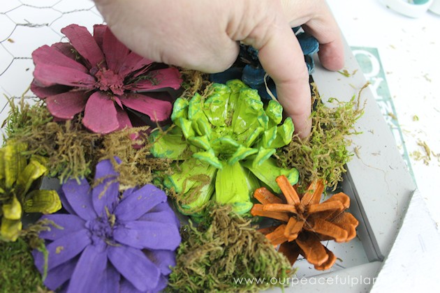 A country chicken wire frame memo board that will brighten up your kitchen with its pretty pinecone succulents. It holds useful items plus photos & quotes!