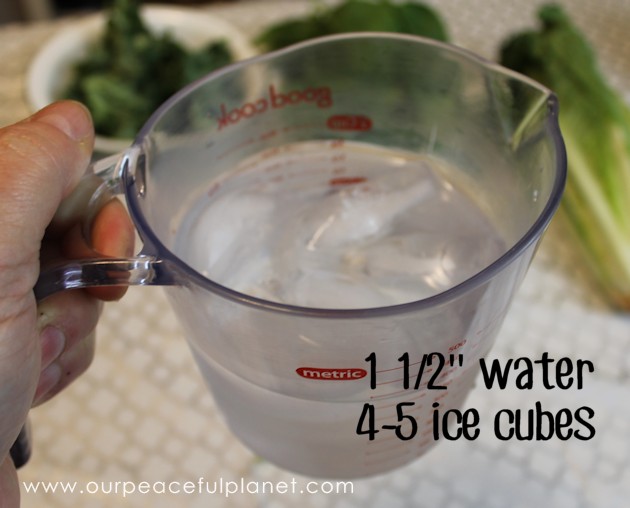 With our green smoothie recipe you'll learn how to easily take in large amounts of dark greens with one quick and delicious drink. Your body will love you!