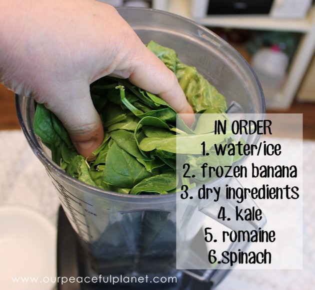 With our green smoothie recipe you'll learn how to easily take in large amounts of dark greens with one quick and delicious drink. Your body will love you!