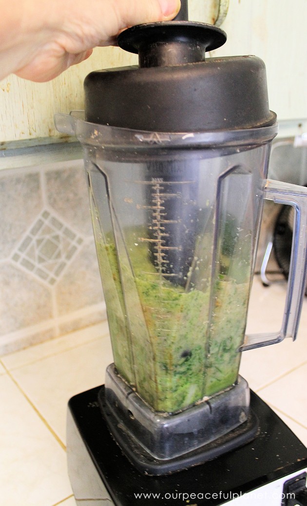 With our green smoothie recipe you'll learn how to easily take in large amounts of dark greens with one quick and delicious drink. Your body will love you!