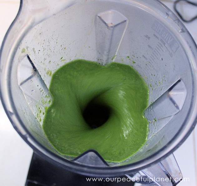 With our green smoothie recipe you'll learn how to easily take in large amounts of dark greens with one quick and delicious drink. Your body will love you!