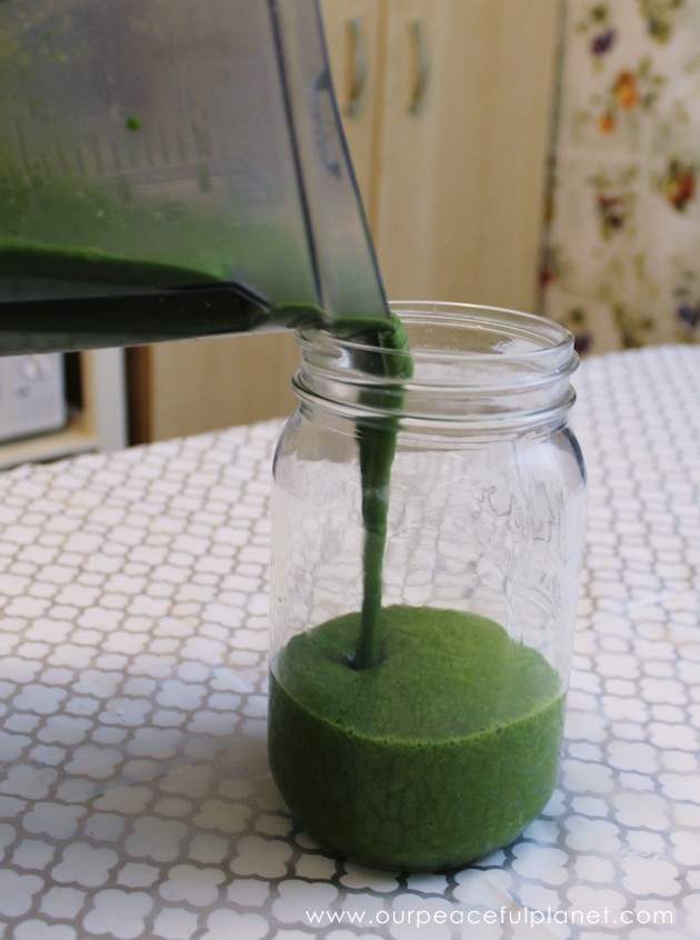 With our green smoothie recipe you'll learn how to easily take in large amounts of dark greens with one quick and delicious drink. Your body will love you!