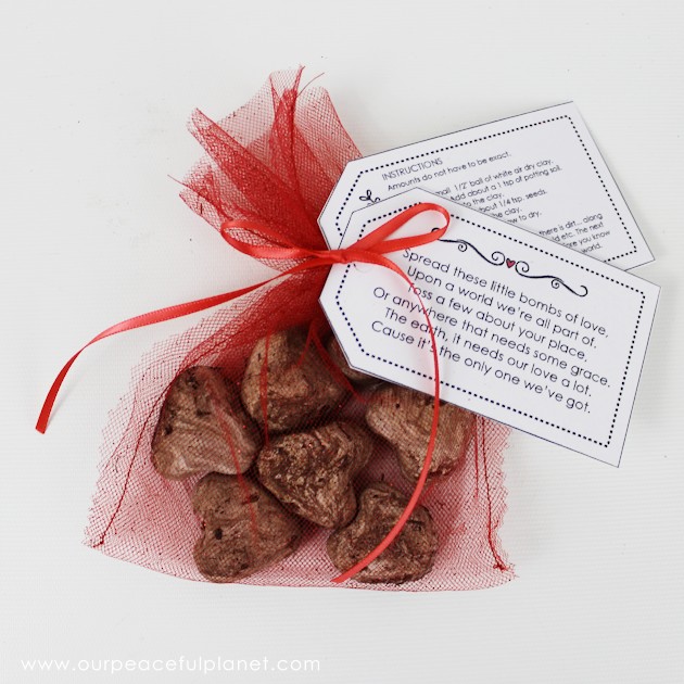 What better way to celebrate Earth Day than tossing around some of these heart shaped wildflower seed bombs. Easy and inexpensive. Show the earth some love!