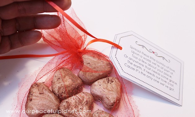 What better way to celebrate Earth Day than tossing around some of these heart shaped wildflower seed bombs. Easy and inexpensive. Show the earth some love!