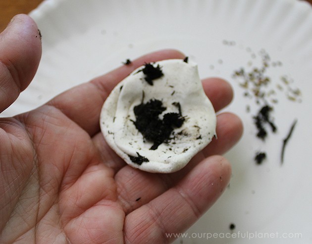 What better way to celebrate Earth Day than tossing around some of these heart shaped wildflower seed bombs. Easy and inexpensive. Show the earth some love! 