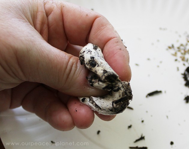 What better way to celebrate Earth Day than tossing around some of these heart shaped wildflower seed bombs. Easy and inexpensive. Show the earth some love! 