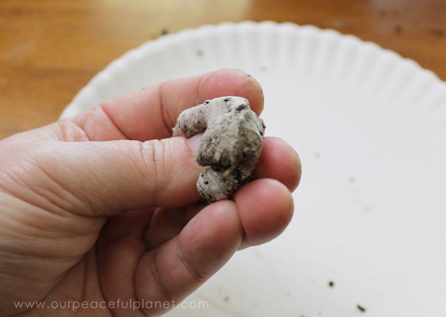 What better way to celebrate Earth Day than tossing around some of these heart shaped wildflower seed bombs. Easy and inexpensive. Show the earth some love! 