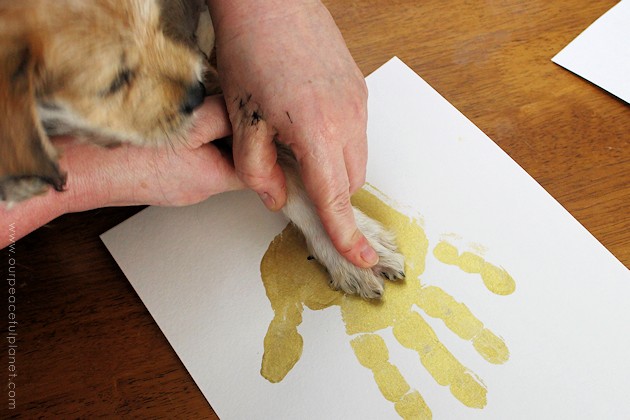 Make this framed keepsake dog or puppy paw print to have forever and memorialize your furry friends. It's both classy and meaningful!
