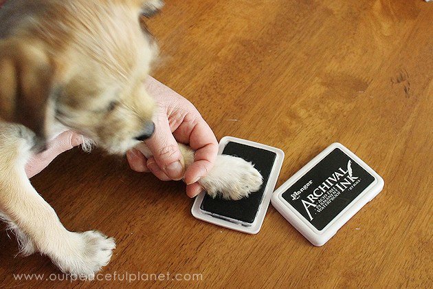 Make this framed keepsake dog or puppy paw print to have forever and memorialize your furry friends. It's both classy and meaningful!