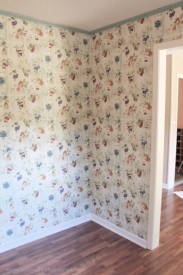 Add space and convenience to your small kitchen with this simple DIY pantry! It has floor to ceiling shelves, a door and it fits perfectly into a corner.