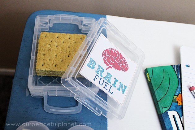 This portable desk makes the perfect homework helper & your kids will look forward to doing it! We've got three printable themes you can choose to inspire!