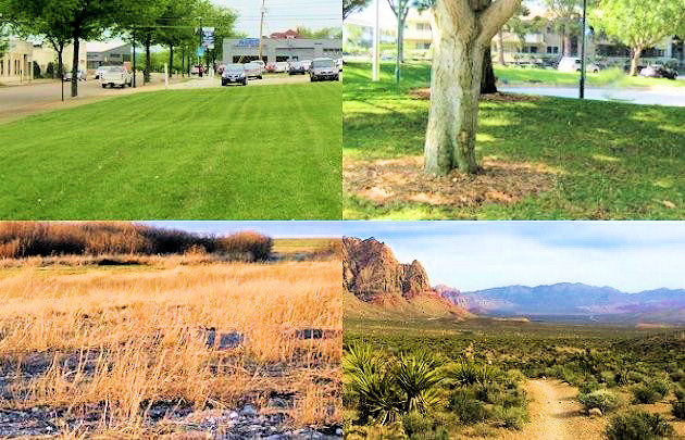 If you struggle to find clarity and inner peace, the answers can be as close as the nearest park, trail or field. Learn how to find peace in nature. 