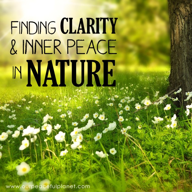 If you struggle to find clarity and inner peace, the answers can be as close as the nearest park, trail or field. Learn how to find peace in nature. 