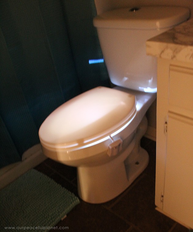 Bet you've never seen some of these unique bathroom ideas before! You guests will love using your bathroom and so will your family using a few of our ideas!