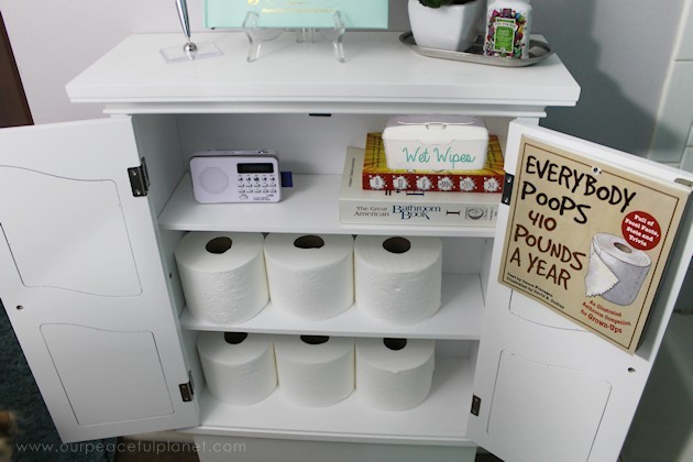 Bet you've never seen some of these unique bathroom ideas before! You guests will love using your bathroom and so will your family using a few of our ideas!