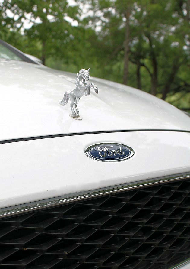 If you like girly car accessories you're gonna love these removable DIY hood ornaments made from small toys & other light weight objects. Make a whole set!
