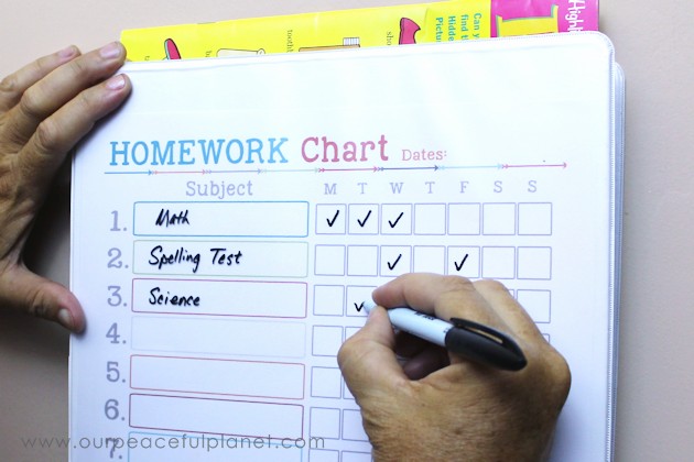 Make super cheap & creative wall mounted file holders using 3 ring binders! We’ve got free printables so you can turn yours into a homework helper set!