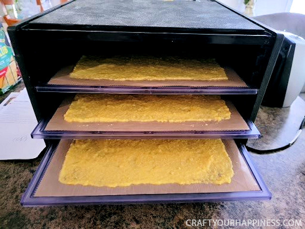 This raw corn chip recipe can be made in a dehydrator or oven. They can be soft or crisp and have a sweet taste, great for snacking!