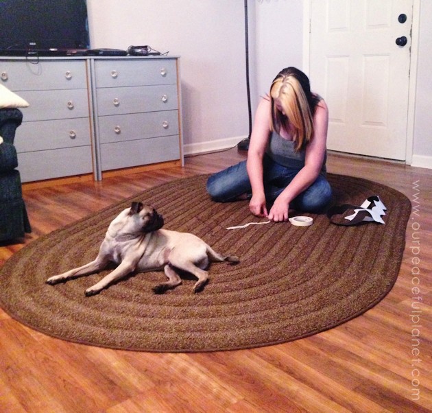 Yes, even carpets can get a makeover! Whether it’s a larger area rug or a throw rug, you can paint carpet using a stencil and regular interior latex paint.