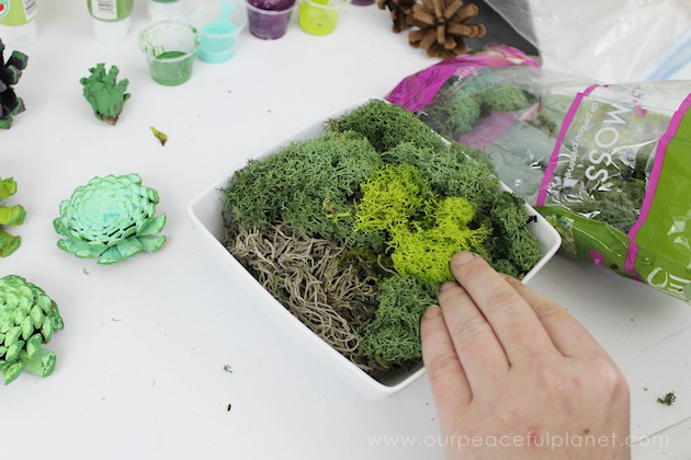  With this ultimate pinecone craft you can make a bowl of stunning succulents in a matter of minutes to add to your home decor. And they never need watered!