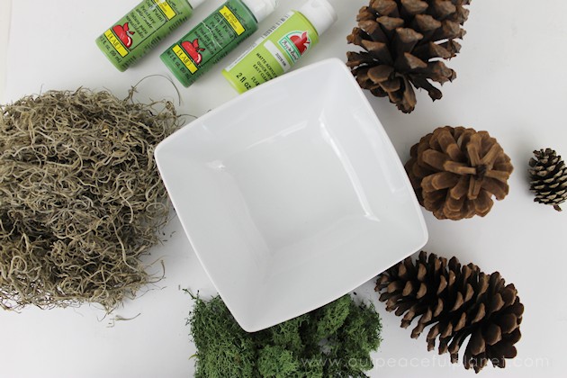  With this ultimate pinecone craft you can make a bowl of stunning succulents in a matter of minutes to add to your home decor. And they never need watered!