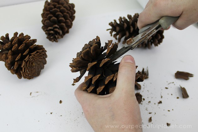  With this ultimate pinecone craft you can make a bowl of stunning succulents in a matter of minutes to add to your home decor. And they never need watered!