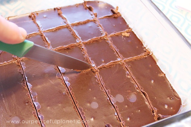 This is the creamiest quickest 3 ingredient healthy chocolate fudge recipe ever! Makes a great gift for the holidays or better yet just eat it all yourself!