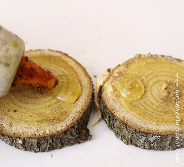 If you're looking for quick DIY Fall decorations these cute little rustic pumpkins are perfect! Make a set in minutes from wood slices. A wonderful gift!
