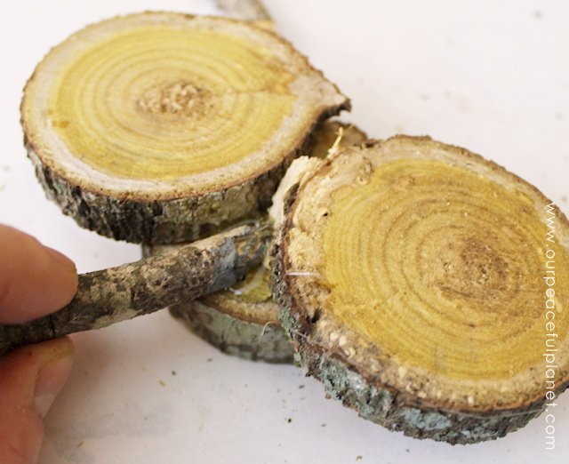 If you're looking for quick DIY Fall decorations these cute little rustic pumpkins are perfect! Make a set in minutes from wood slices. A wonderful gift!