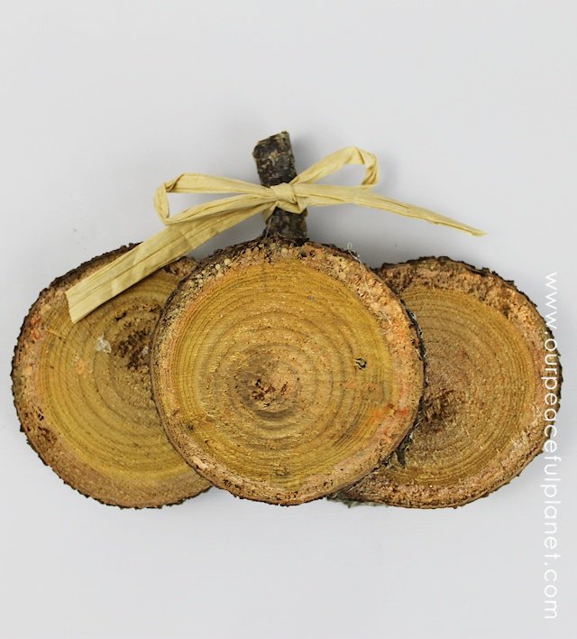 If you're looking for quick DIY Fall decorations these cute little rustic pumpkins are perfect! Make a set in minutes from wood slices. A wonderful gift!