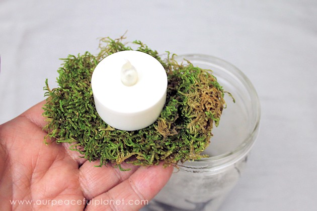 Not your typical mason jar light, these wondrous woodland silhouettes will bring a whimsical touch of nature into your home. Get your free download now!