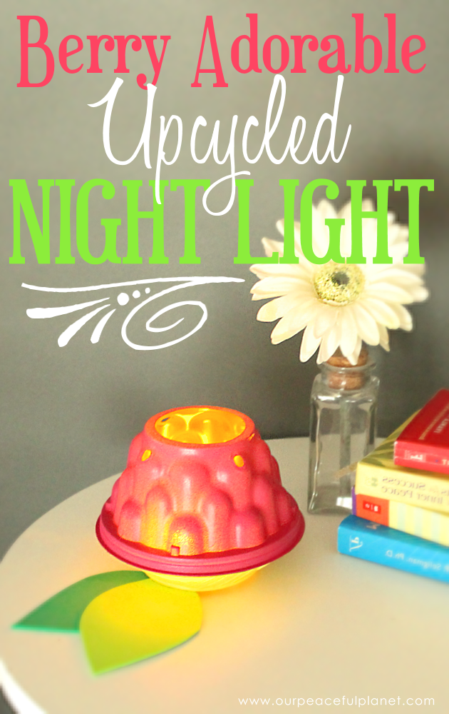 “Berry” Amazing Upcycled DIY Room Decor Light!