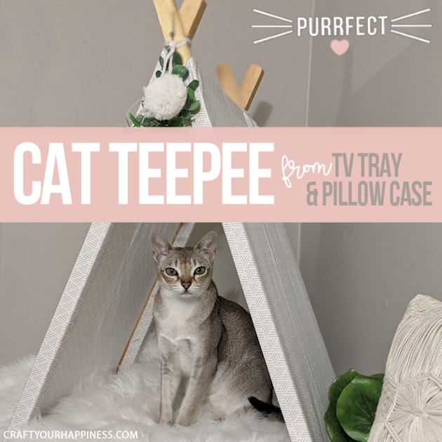 If you're a cat person (or looking for an awesome gift for someone who is) we'll show you how easy it is to make a DIY cat teepee from an old TV tray!