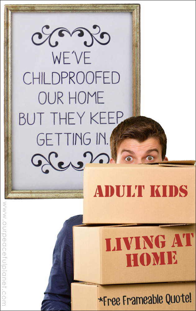 The quote "We've child-proofed our home but they keep getting in" hangs in our home. We've got some good tips for those of you who also have boomerang kids.