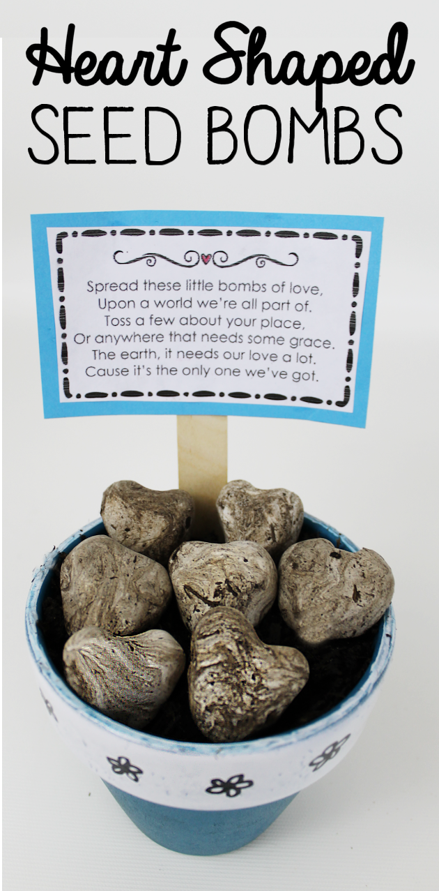 What better way to celebrate Earth Day than tossing around some of these heart shaped wildflower seed bombs. Easy and inexpensive. Show the earth some love!