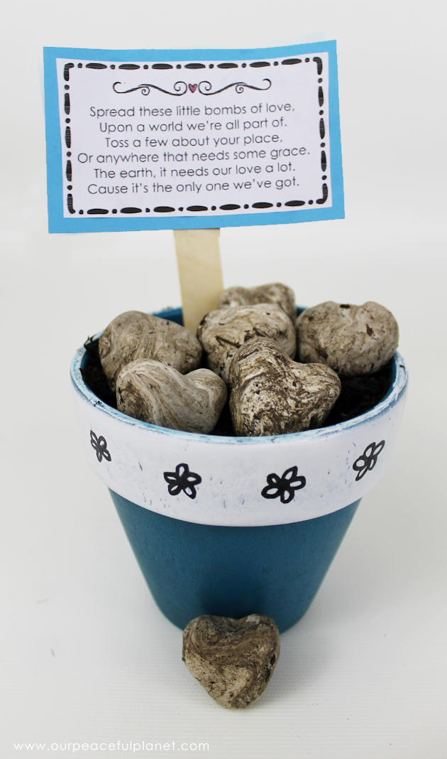 What better way to celebrate Earth Day than tossing around some of these heart shaped wildflower seed bombs. Easy and inexpensive. Show the earth some love! 