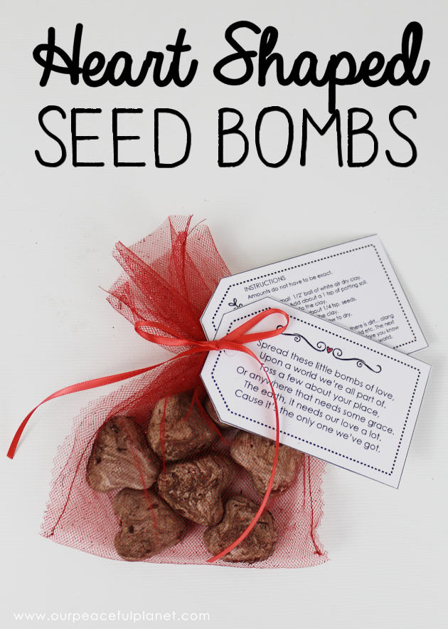 What better way to celebrate Earth Day than tossing around some of these heart shaped wildflower seed bombs. Easy and inexpensive. Show the earth some love!
