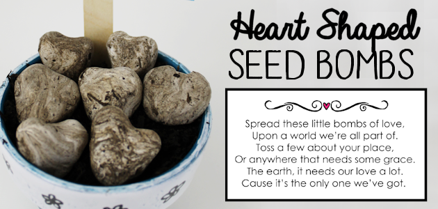 DIY Heart Shaped Wildflower Seed Bombs