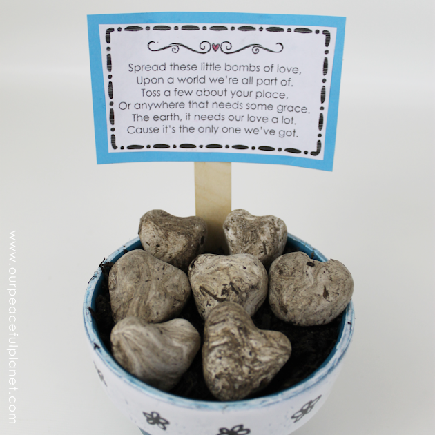 What better way to celebrate Earth Day than tossing around some of these heart shaped wildflower seed bombs. Easy and inexpensive. Show the earth some love! 