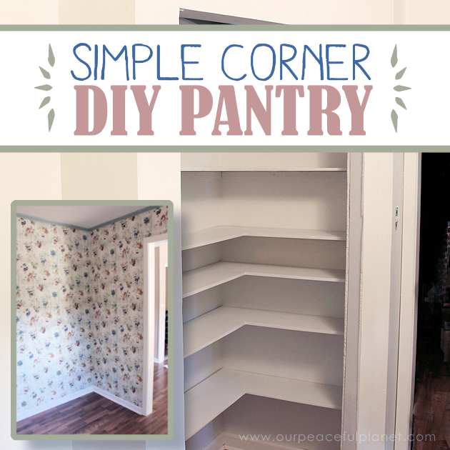 Add space and convenience to your small kitchen with this simple DIY pantry! It has floor to ceiling shelves, a door and it fits perfectly into a corner.