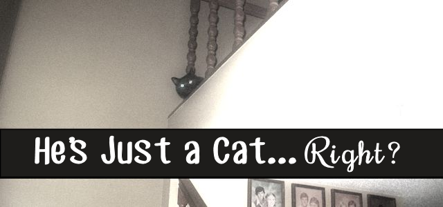 He’s Just a Cat…. Right?