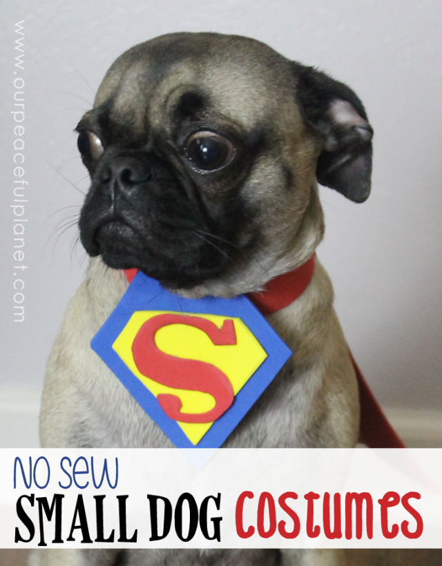 Unique small dog Halloween costume ideas made from craft foam! Free patterns! Superman dog costume, a Mad Hatter dog costume, Gandalf dog costume & more!