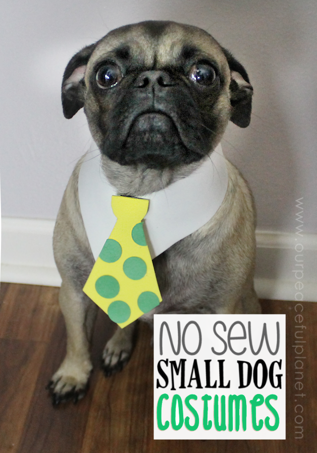 Unique small dog Halloween costume ideas made from craft foam! Free patterns! Superman dog costume, a Mad Hatter dog costume, Gandalf dog costume & more!