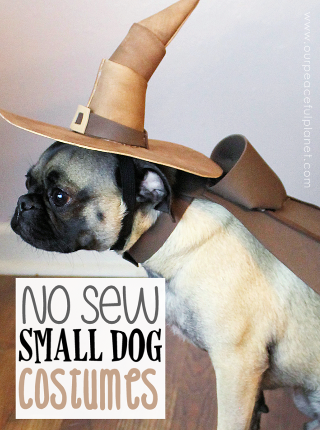 Unique small dog Halloween costume ideas made from craft foam! Free patterns! Superman dog costume, a Mad Hatter dog costume, Gandalf dog costume & more!