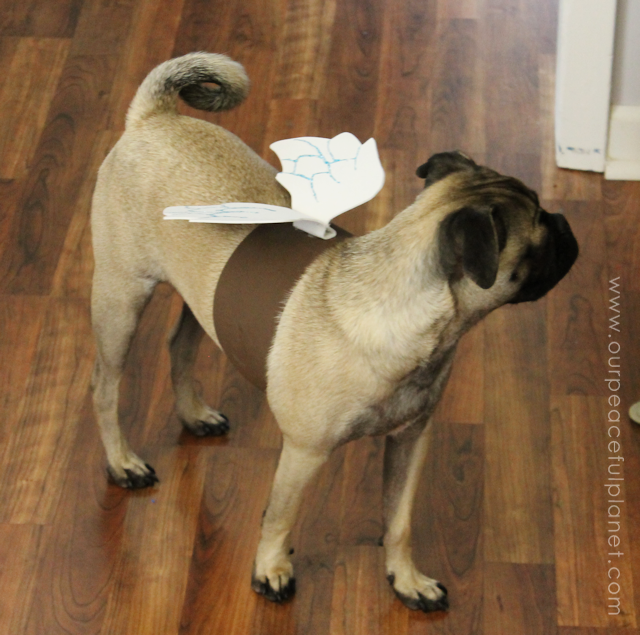 Unique small dog Halloween costume ideas made from craft foam! Free patterns! Superman dog costume, a Mad Hatter dog costume, Gandalf dog costume & more!