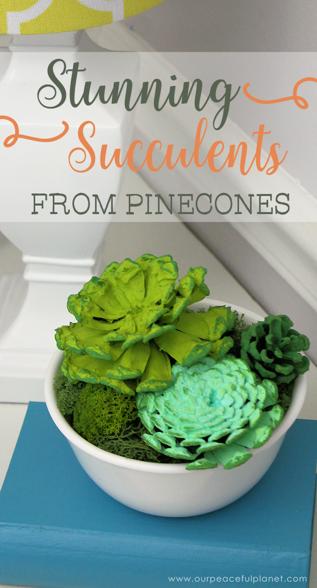  With this ultimate pinecone craft you can make a bowl of stunning succulents in a matter of minutes to add to your home decor. And they never need watered!