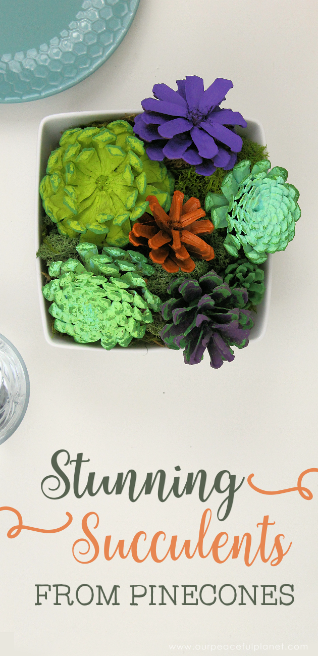  With this ultimate pinecone craft you can make a bowl of stunning succulents in a matter of minutes to add to your home decor. And they never need watered!